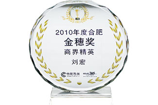  2010年度合肥金穗獎